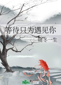 等待只为遇见你